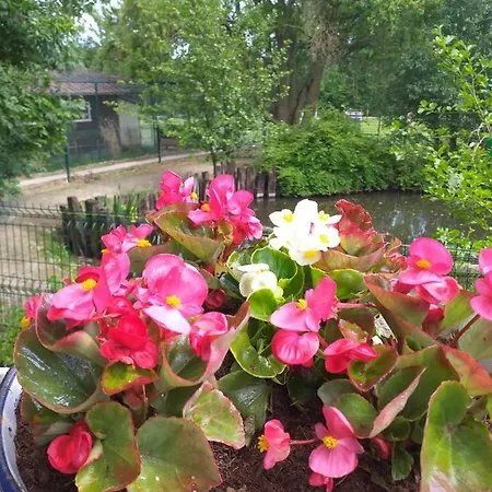 Poezelhoekvallei Loft Holiday home Zonnebeke